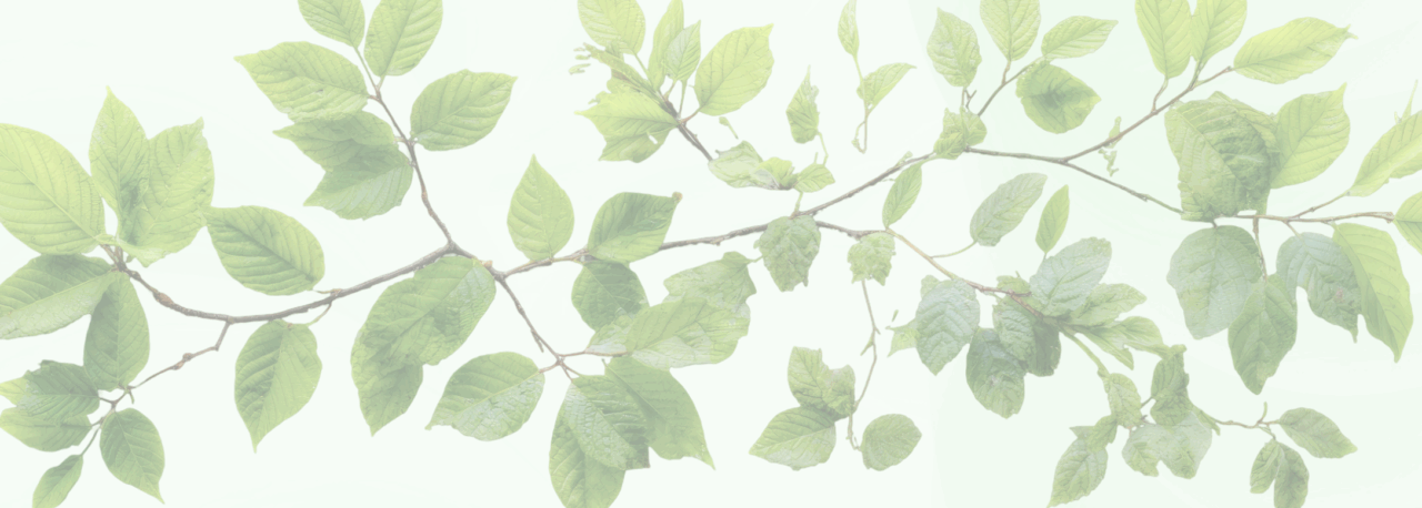 >　　お気軽にお問い合わせ下さい